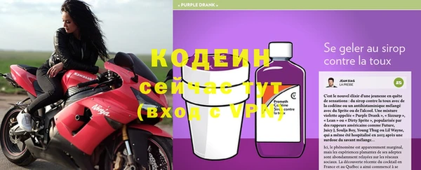 бошки Белокуриха