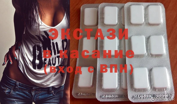 индика Богородицк