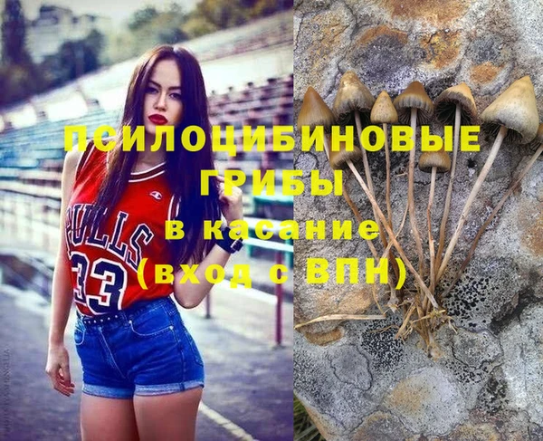 бошки Белокуриха