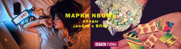 индика Беломорск