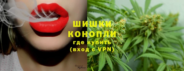 бошки Белокуриха