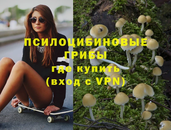 индика Беломорск