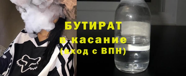 индика Богородицк