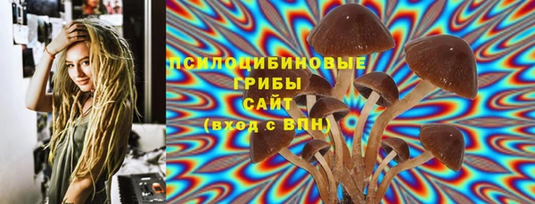индика Беломорск