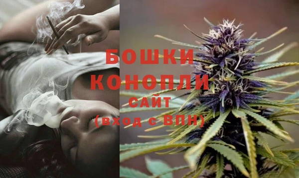стафф Богданович
