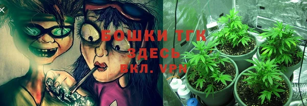 индика Богородицк