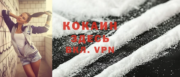 бошки Белокуриха