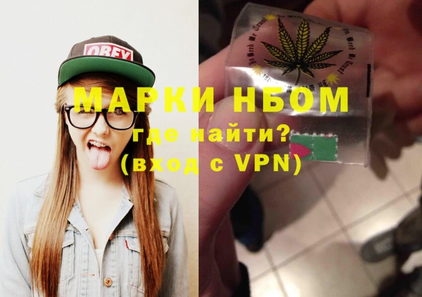 индика Богородицк
