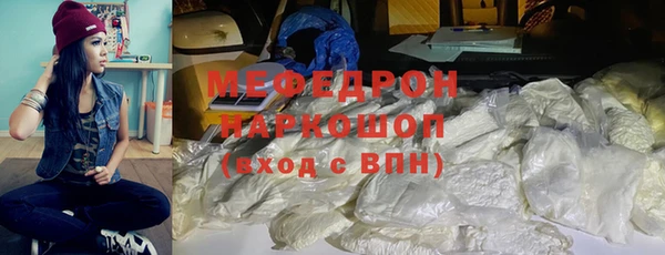 индика Богородицк
