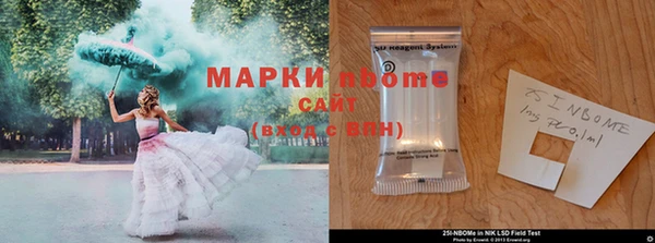 индика Богородицк